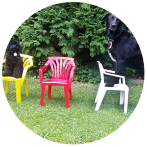 R.I.A. tiergestützte Pädagogik - jeder findet seinen Platz